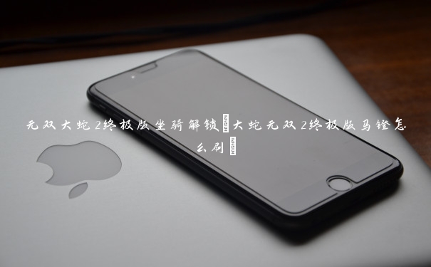 无双大蛇2终极版坐骑解锁(大蛇无双2终极版马镫怎么刷)