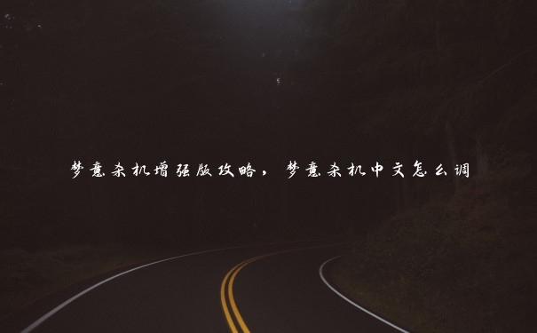 梦意杀机增强版攻略，梦意杀机中文怎么调