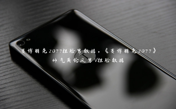 赛博朋克2077捏脸男数据，《赛博朋克2077》帅气英伦风男V捏脸数据