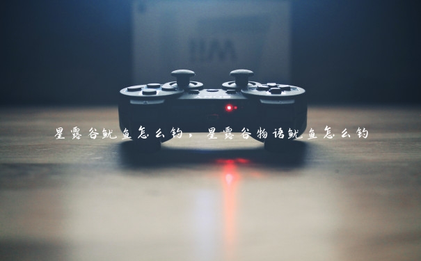 星露谷鱿鱼怎么钓，星露谷物语鱿鱼怎么钓