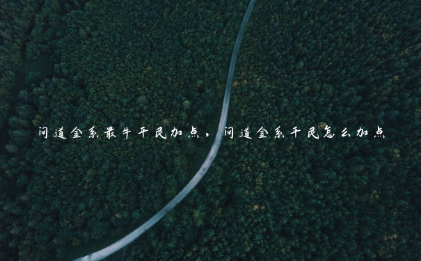 问道金系最牛平民加点，问道金系平民怎么加点