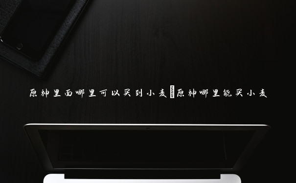 原神里面哪里可以买到小麦　原神哪里能买小麦