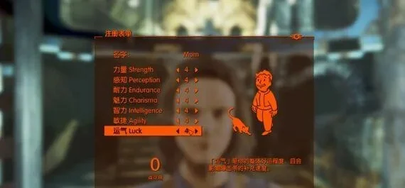 《辐射4》启动空白屏解决攻略：常见方法全解析
