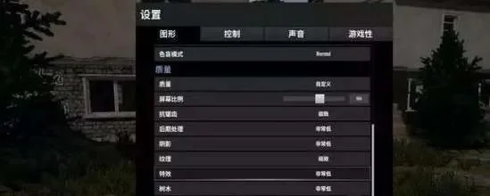 《绝地求生》头晕解决技巧：游戏设置调整与物理方法