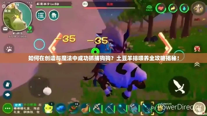 《创造与魔法》狗狗获取攻略：捕捉转化与特殊狗获取方法