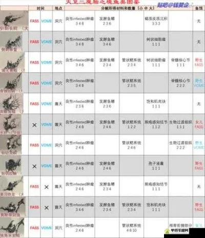 《星际战甲》高效动物捕捉技巧解析