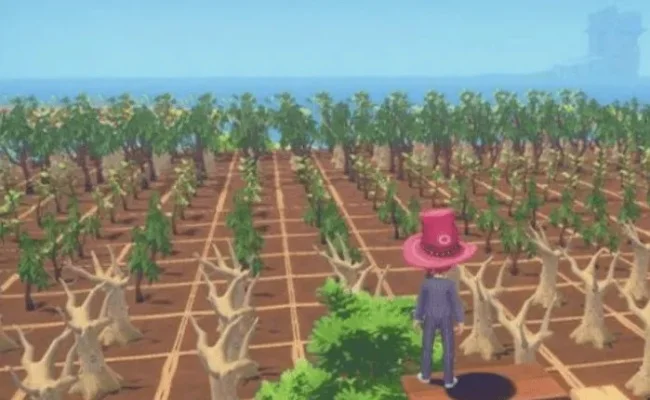 《波西亚时光》种植作物全攻略：箱制作、种植技巧与种子获取