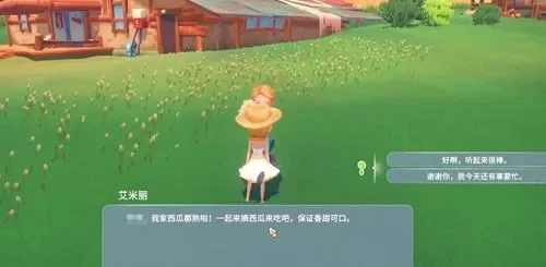 《波西亚时光》艾米丽西瓜任务攻略及希金斯支线玩法