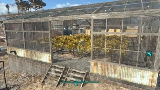 《辐射4》饲料攻略：工房种植与阳光合作社双份肉技巧