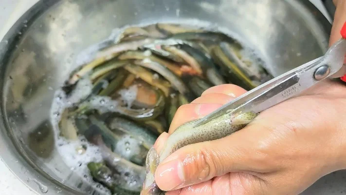 轻松处理泥鳅：去黏液、粘膜，保证口感与健康的步骤