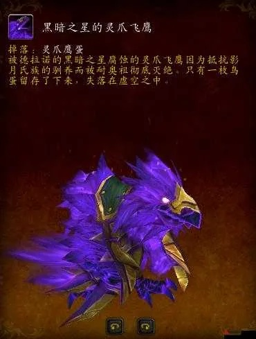 黑暗之星的灵爪飞鹰刷新点-灵爪飞鹰刷新点指南